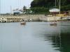 20110621-cimg0527.jpg